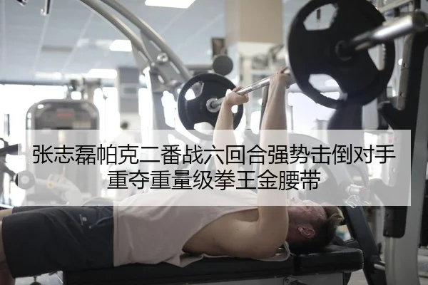 张志磊帕克二番战六回合强势击倒对手重夺重量级拳王金腰带